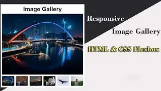 Create a Responsive Image Gallery using HTML & CSS Only