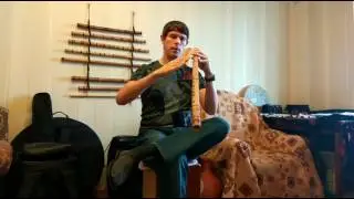 Как играть на поперечной флейте. Основы.