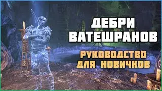 ESO Дебри Ватешранов. Руководство для новичков.