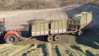 Уборка кукурузы 2024г