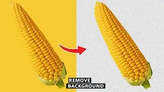 How to remove Same color backgrounds in Photoshop    Tutorial for beginners