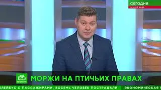 Пятничный заплыв в защиту клуба от закрытия. Матушкин Андрей Николаевич