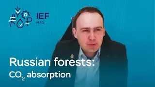 How to assess and maximize the carbon sequestration potential of Russian forests?