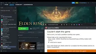 Fix ELDEN RING Error Code 30005 On PC