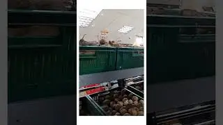 ХАРЬКОВ ЦЕНЫ НА КАРТОФЕЛЬ, МОРКОВЬ, СВЕКЛУ ~ KHARKOV PRICES FOR POTATOES, CARROTS, BEET