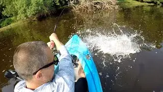 Topwater Fishing The Mississippi River