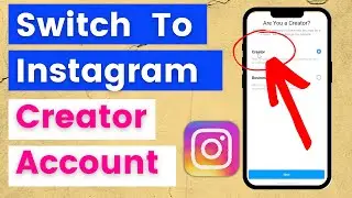 How To Switch to Instagram Creator Account? [in 2024] - Either From Personal and Business Profile