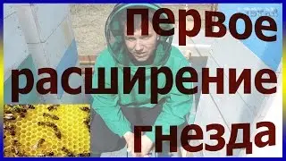 Первое весеннее расширение гнезда пчеловодство пасека пчелы