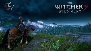 The Witcher 3: Wild Hunt [#25] Барон + Дяды.