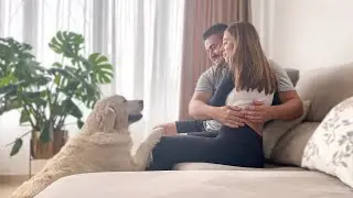 Cutest Golden Retriever Reaction to Mom and Dad Hugs