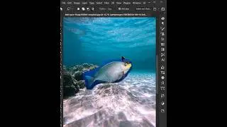 How to merge two different pictures using auto blend layer in Photoshop