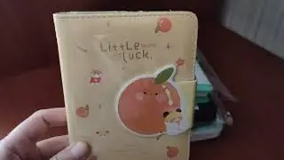 Мои новые блокноты Bullet Journal Листаем вместе