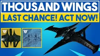 Thousand Wings (Whisper Heroic) Guide - BEST SHIP IN THE GAME! ACT NOW | Destiny 2 Beyond Light Prep