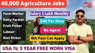 Usa 🇺🇸 3 Year Free Work Visa Just In 30 days | jobs in usa | Apply Now