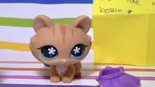 LPS Trade Package Opening From Socutelps.trades! | LPSinfinity