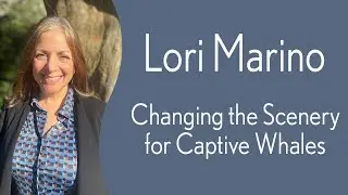 Dr. Lori Marino - Changing the Scenery for Captive Whales: The Whale Sanctuary Global Movement