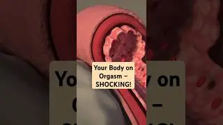 What happens during orgasm