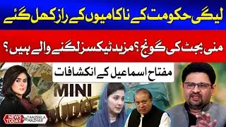 Miftah Ismail Shocking Revelations Against PMLN Government | News Today With Tanzeela Mazhar