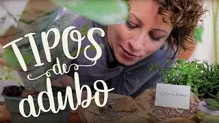 Adubar pra quê? Um guia rápido dos tipos de adubos na jardinagem