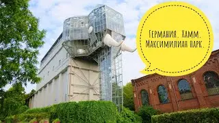 Германия. Город Хамм. Максимилиан парк. Дом бабочек.