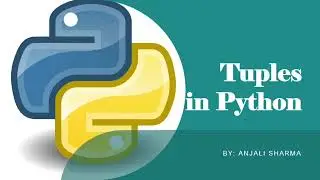 16. Tuples in Python | Create a Tuple | Immutability | Indexing Tuples | Python Lectures |