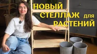 ОБУСТРАИВАЮ самый СЕКРЕТНЫЙ уголок с РАСТЕНИЯМИ | формирую ХОЙИ на опорах и ПЕРЕСАЖИВАЮ антуриум 🌿