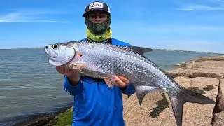 Texas Jetty Fishing for TARPON