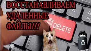 КАК ВОССТАНОВИТЬ УДАЛЁННЫЕ ФАЙЛЫ !? ЛЕГКО!!! Win10/8/7