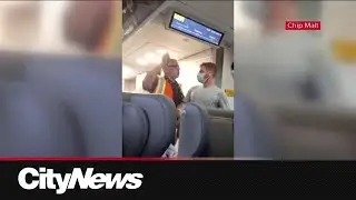 Phone snatched by employee on delayed VIA Rail train to Quebec City