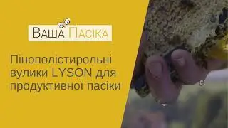 Пінополістирольні вулики LYSON для продуктивної Пасіки