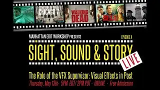 Sight, Sound & Story  Live   The Role of the VFX Supervisor  Visual Effects in Post