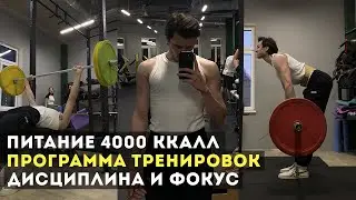 Моя программа тренировок для спортзала / ПИТАНИЕ на 4000 ккал +10кг / Мотивация и ДИСЦИПЛИНА