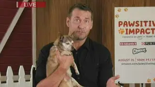 CBS Brandon McMillan talks Pawsitive Impact event