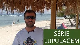 Série Técnicas de Lupulagem #04 - Dry Hop