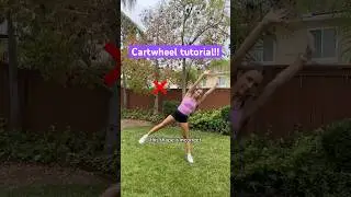 Learn a cartwheel in 1 MINUTE!! 🤸‍♀️ #tutorial #cartwheel #cheer #dance #gymnastics #acro #howto