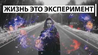 ЖИЗНЬ ЭТО ЭКСПЕРИМЕНТ (Авега) l Человек из Вавилона