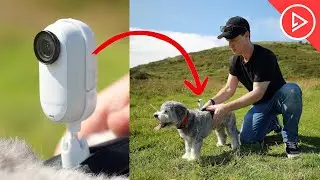 Ultimate Pet Cam? Testing Insta360 GO 3 on My Dog