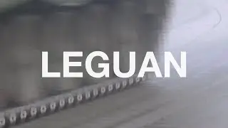 LEGUAN: High-performance interoperable bridge system