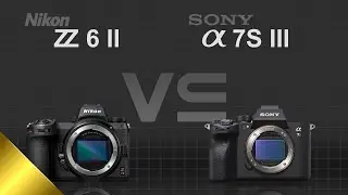 Nikon Z6 II vs Sony alpha a7S III