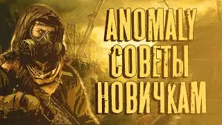 S.T.A.L.K.E.R. Anomaly - Советы новичкам