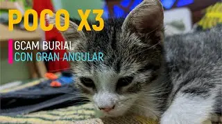 POCO X3 - GCAM Burial + xml Gran Angular