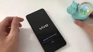 How to Hard Reset Vivo Y19