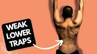 Upper Shoulders Overactive? How to Fix Upper Trapezius Engagement