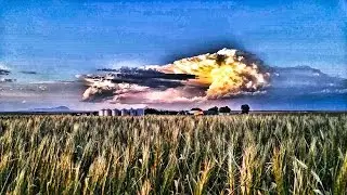 Beautiful Time-Lapse of Growing Wheat