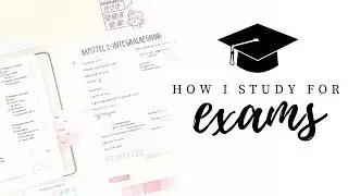 How I study for exams - Part 1 | Study schedule & revision methods | studytee