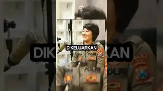 TNI AL BUKA PENDAFTARAN BINTARA PK TAHUN 2024 : INI SYARATNYA