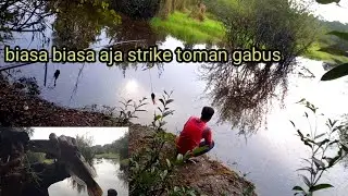 beginila kalau mancing kameranya tidak di aktifkan. #mancinggabus