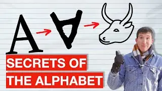 THE ALPHABET EXPLAINED: The origin of every letter