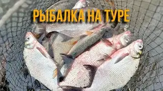 Рыбалка на Туре