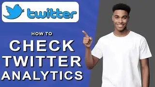 How to check twitter analytics (2024)